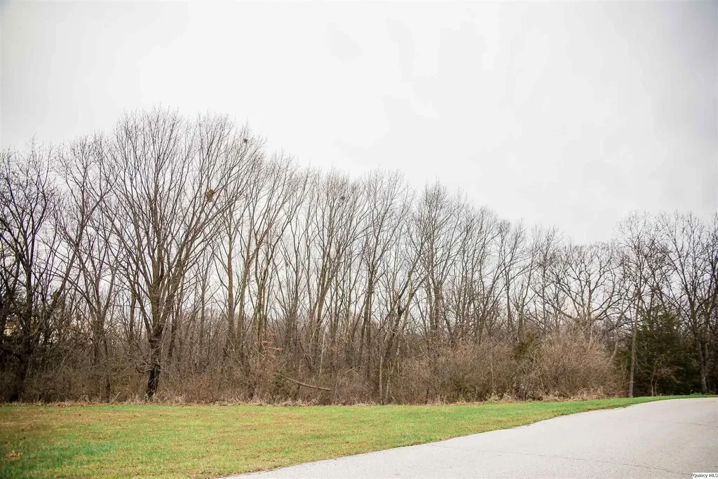 SE Cor Lot 15 Quincy IL 62305