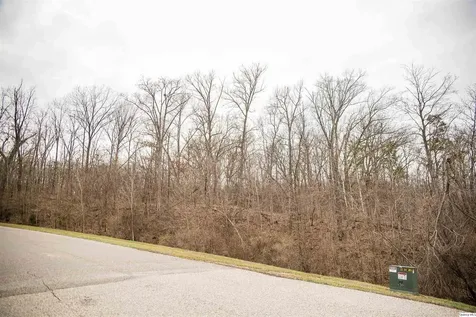 SE Sec 21 2S8W 3.139 Quincy IL 62305