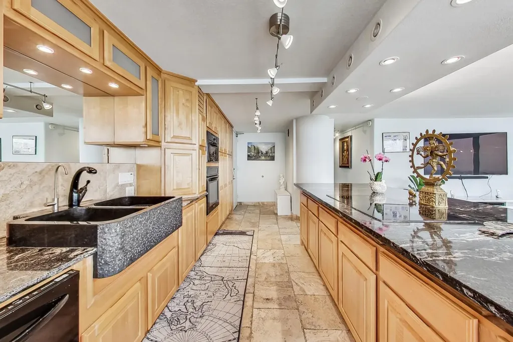 505 North Lake Shore Drive Chicago IL 60611