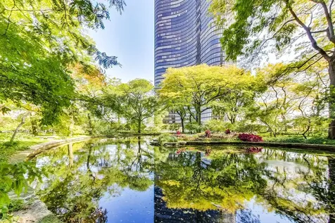 505 North Lake Shore Drive Chicago IL 60611