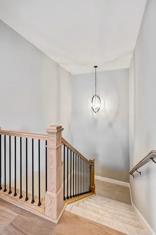 14112 South Cardiff Court Homer Glen IL 60491