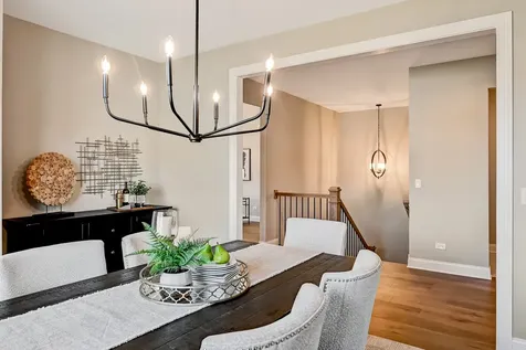 14112 South Cardiff Court Homer Glen IL 60491