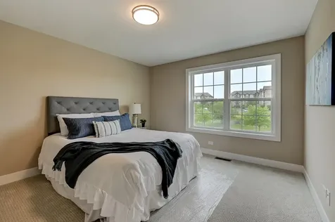 14114 South Cardiff Court Homer Glen IL 60491
