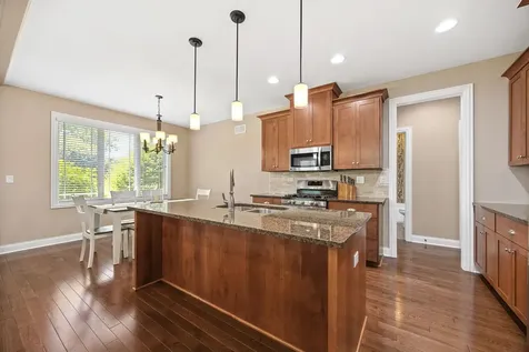 14660 Aster Lane Homer Glen IL 60491