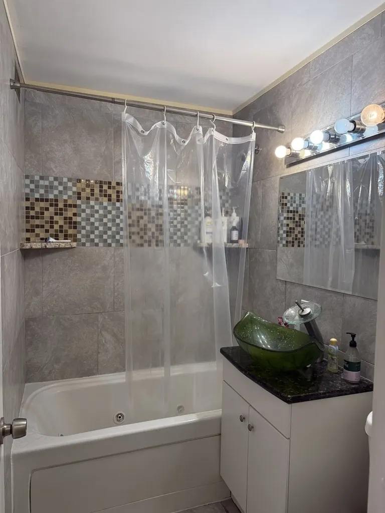 1450 East 55th Place Chicago IL 60637