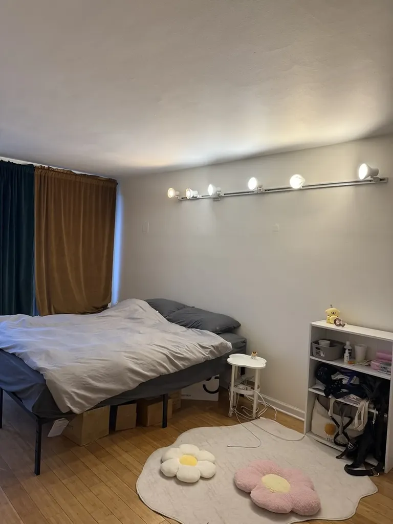 1450 East 55th Place Chicago IL 60637