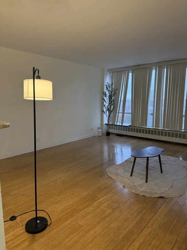 1450 East 55th Place Chicago IL 60637