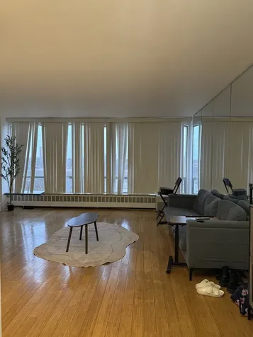 1450 East 55th Place Chicago IL 60637