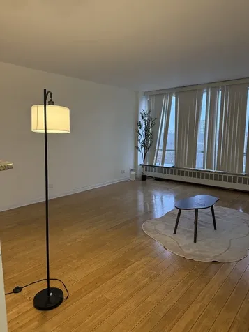 1450 East 55th Place Chicago IL 60637