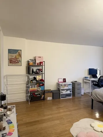 1450 East 55th Place Chicago IL 60637