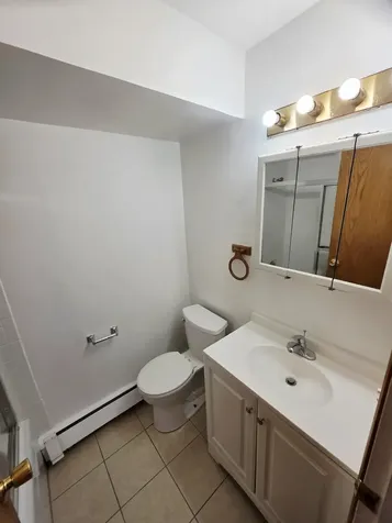 1045 Higgins Quarters Drive Hoffman Estates IL 60169