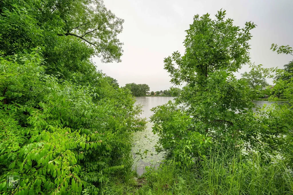 9 Wake Robin Court Woodridge IL 60517