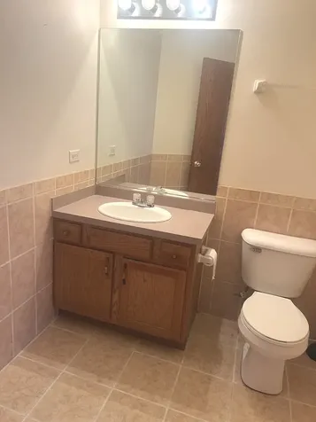 14913 Sheila Court Oak Forest IL 60452