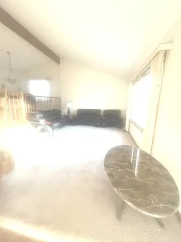 14913 Sheila Court Oak Forest IL 60452