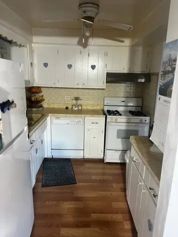 7100 99TH Street Chicago Ridge IL 60415