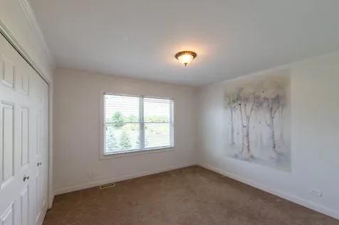 3822 Magnolia Drive Spring Grove IL 60081
