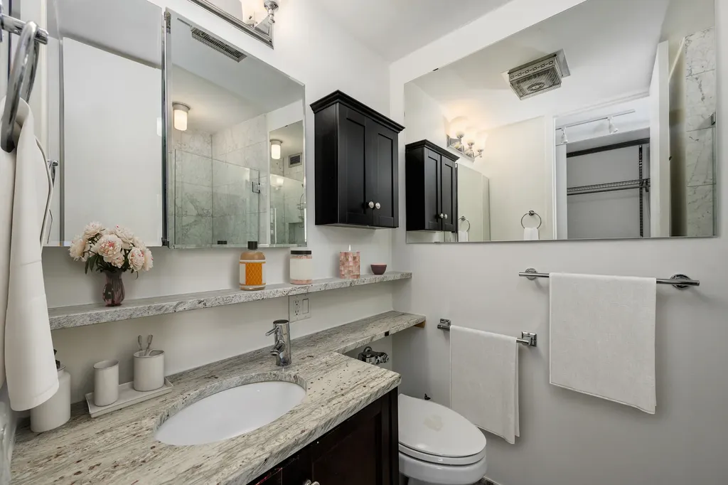 910 North Lake Shore Drive Chicago IL 60611