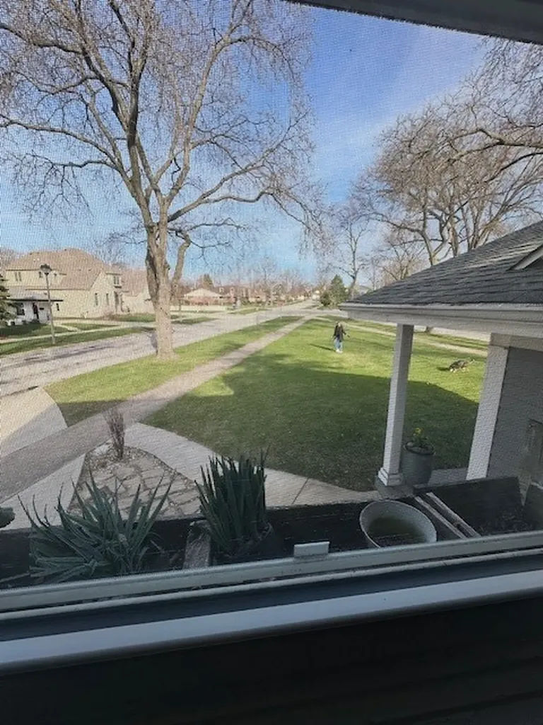 291 East Wilson Street Elmhurst IL 60126