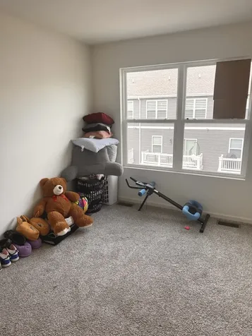 17314 Roscommon Road Tinley Park IL 60477