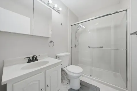 238 Algonquin Court Bolingbrook IL 60440