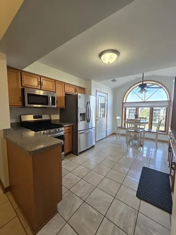 6252 Kallsen Drive Tinley Park IL 60477