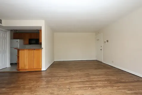 10111 Old Orchard Court Skokie IL 60076