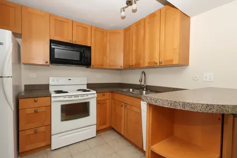 10111 Old Orchard Court Skokie IL 60076