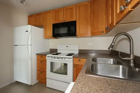 10111 Old Orchard Court Skokie IL 60076