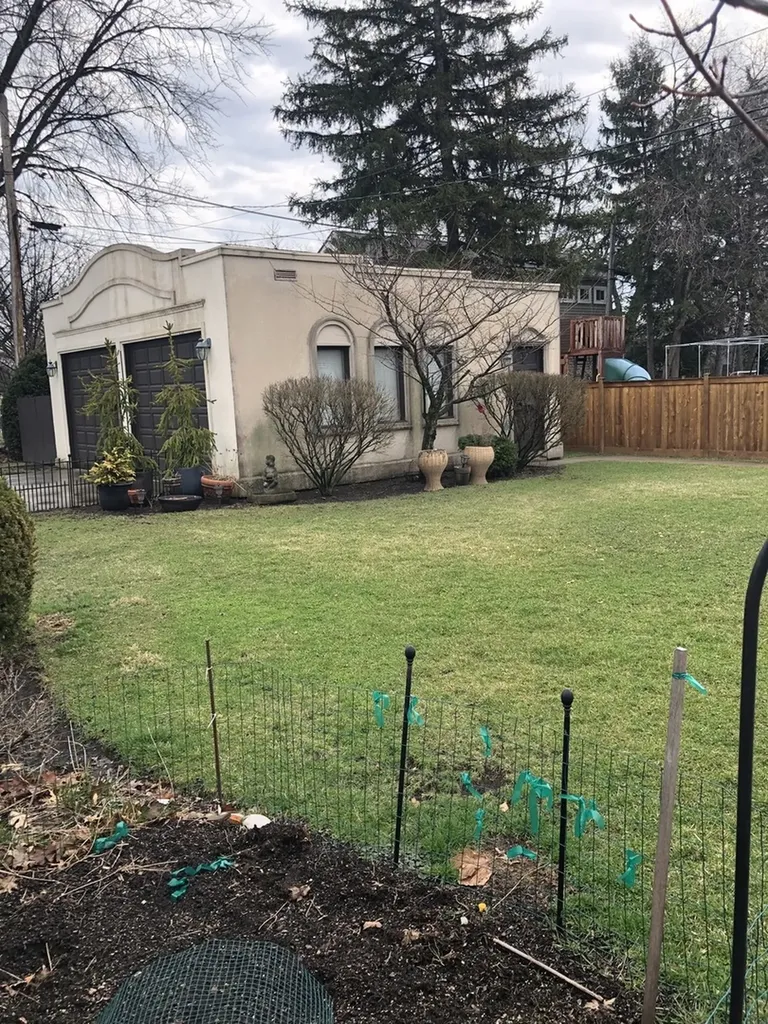1309 South Crescent Avenue Park Ridge IL 60068