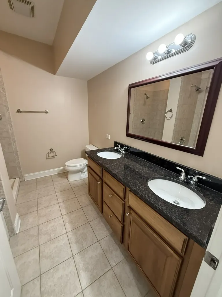 6961 Vine Street Indian Head Park IL 60525