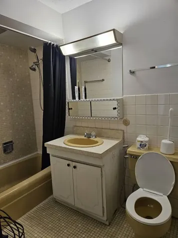 7234 West North Avenue Elmwood Park IL 60707