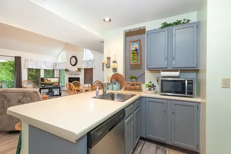 41 Spring Creek Lane Galena IL 61036