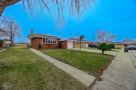 9113 Belleforte Avenue Morton Grove IL 60053