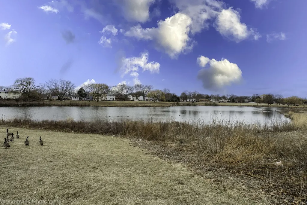 147 West Elk Trail Carol Stream IL 60188