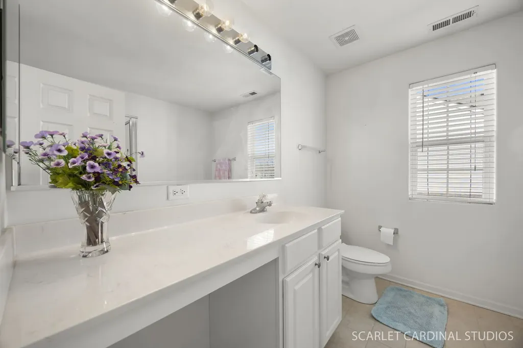 1661 Trails End Lane Bolingbrook IL 60490
