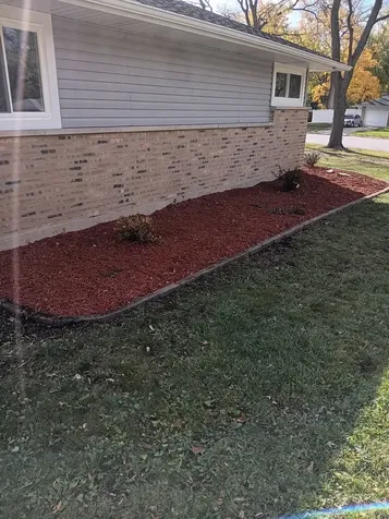 531 Wildwood Drive Park Forest IL 60466