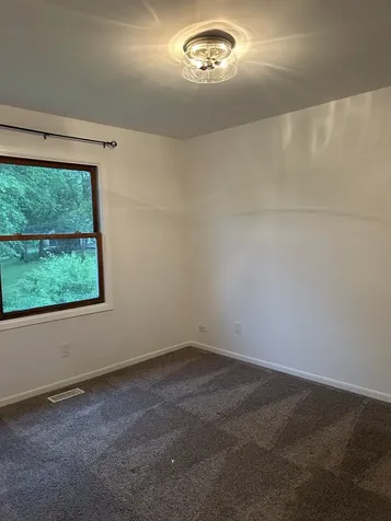 8909 Shady Lane Wonder Lake IL 60097