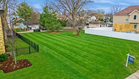 916 Cleveland Avenue Park Ridge IL 60068