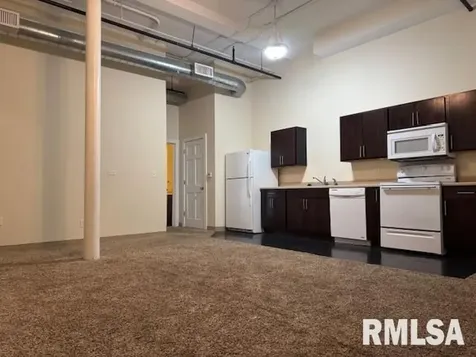 1317 5TH Avenue Moline IL 61265