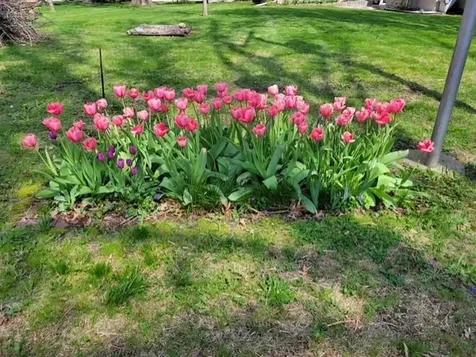 425 East Dakota Street Spring Valley IL 61362