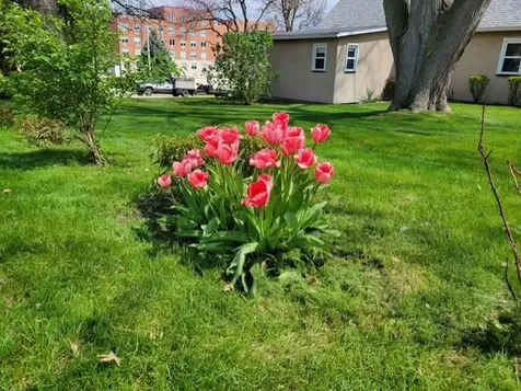 425 East Dakota Street Spring Valley IL 61362