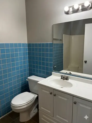 6128 Wedgewood Court Matteson IL 60443