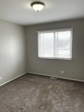 6128 Wedgewood Court Matteson IL 60443