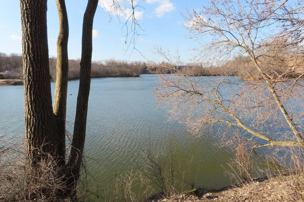 5543 East Lake Drive Lisle IL 60532