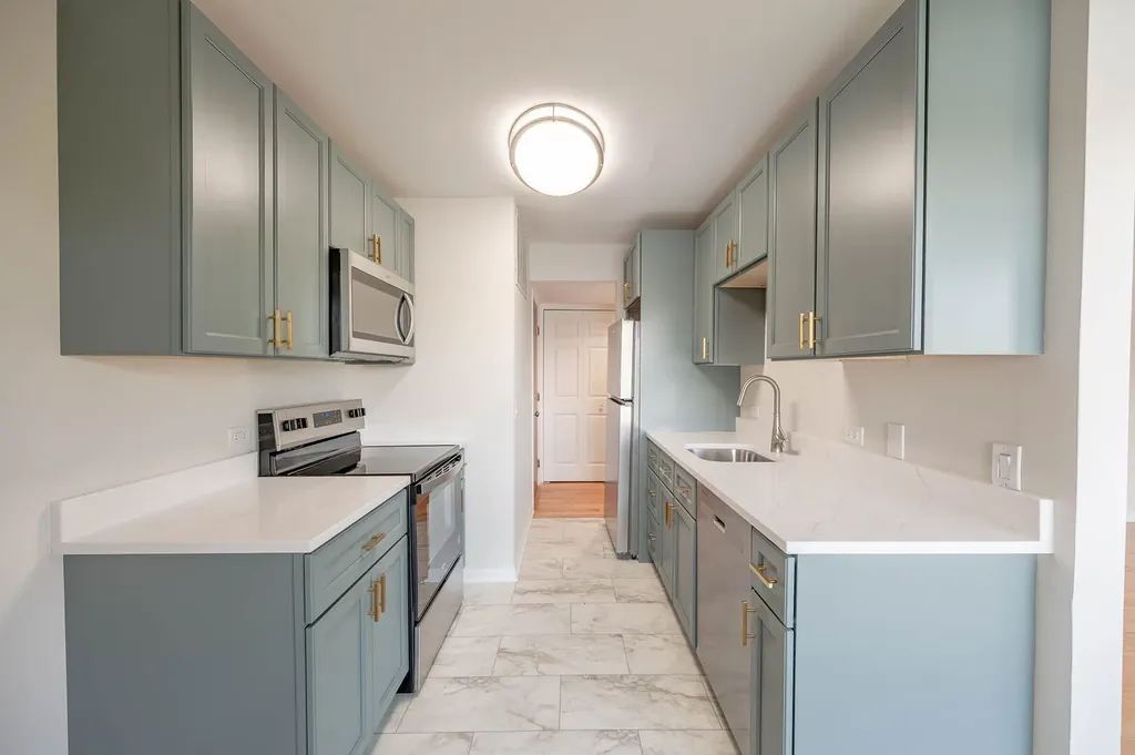 1611 Maple Terrace Lisle IL 60532
