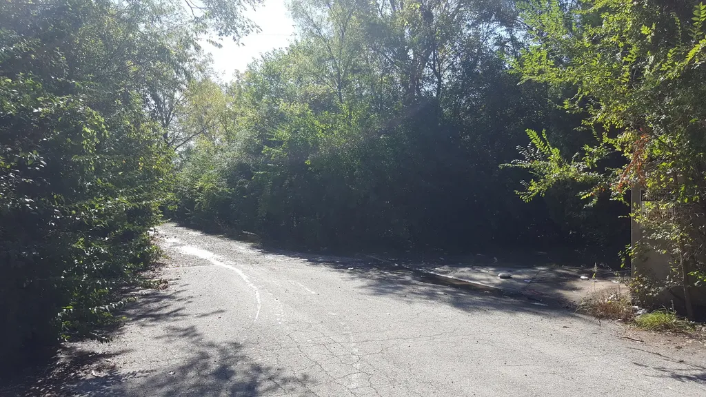 Lot #3 West South End Road Plainfield IL 60544