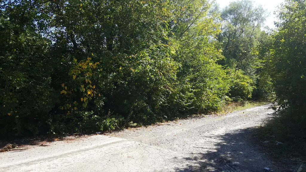 Lot #3 West South End Road Plainfield IL 60544