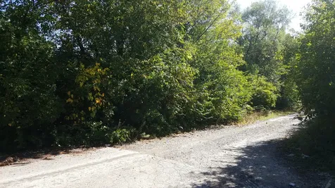 Lot #3 West South End Road Plainfield IL 60544