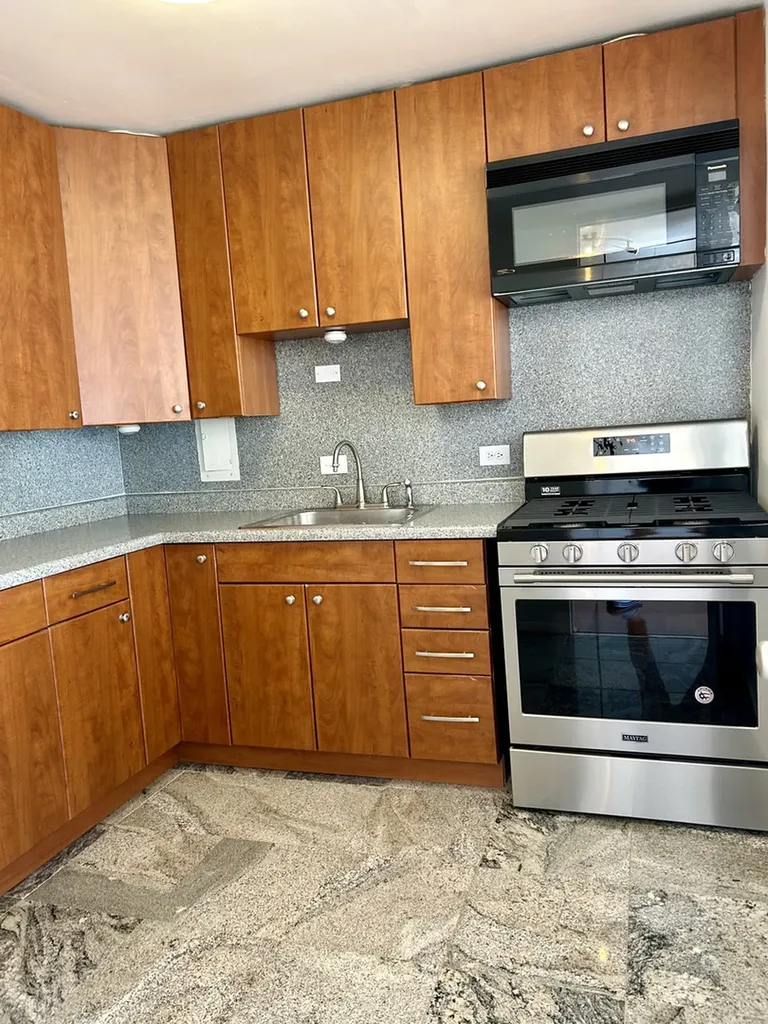 1451 East 55th Street Chicago IL 60615