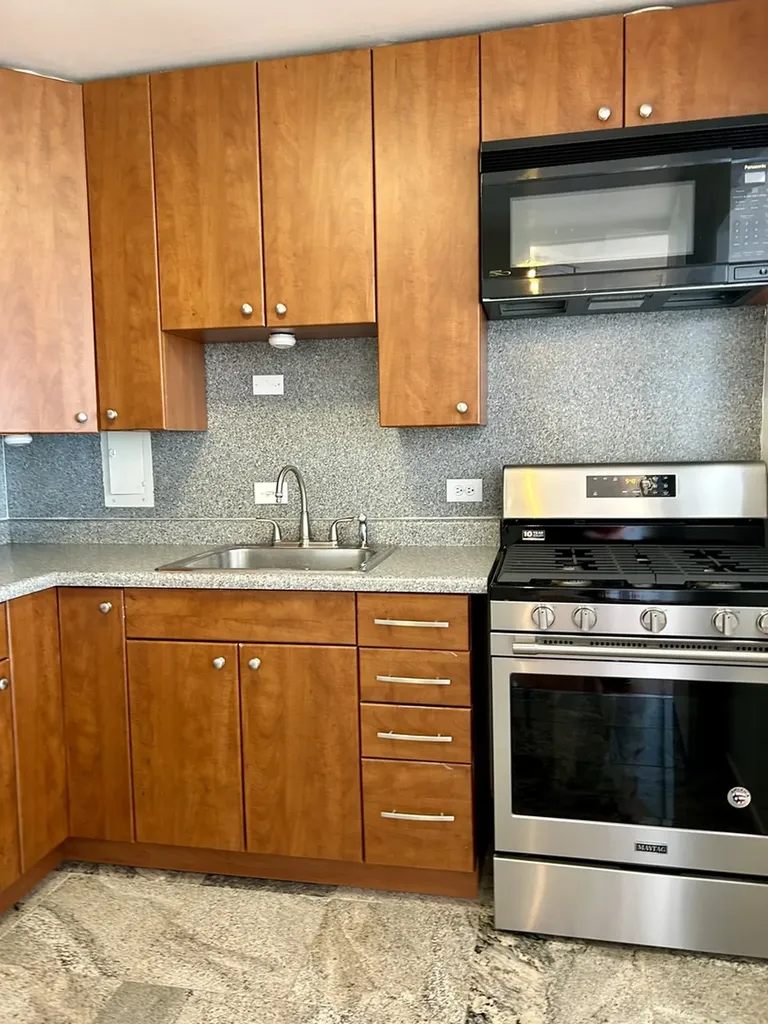 1451 East 55th Street Chicago IL 60615